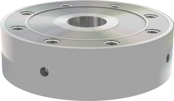 Calibrated stainless steel load cell of the Rapidlogger weight calibrator